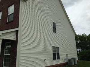 Whiskey fungus cleaning after