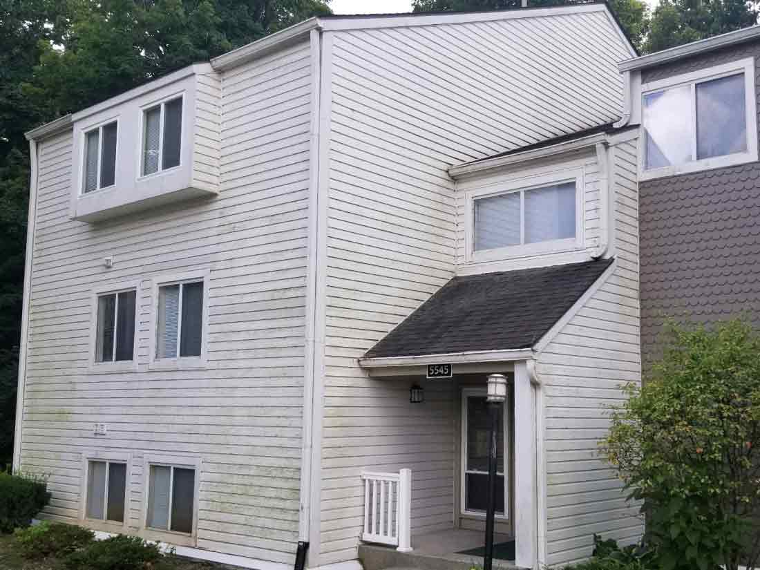 apartment vinyl cleaning before