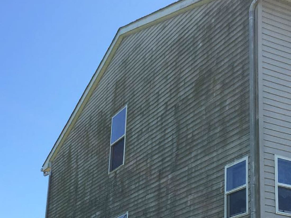 mold and mildew on house before cleaning