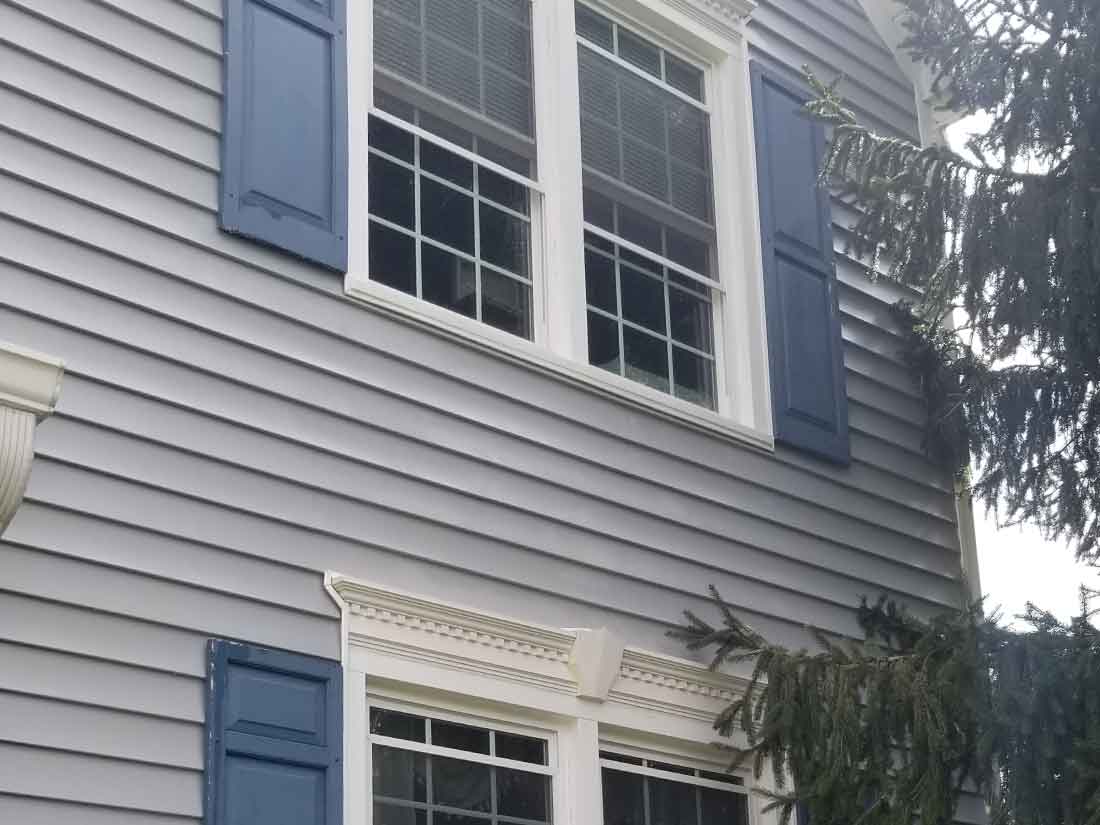 algae on house after