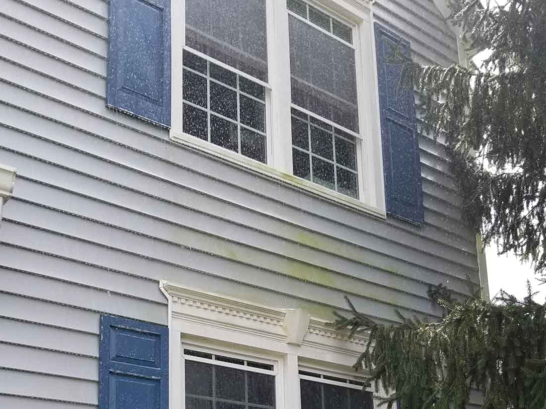 algae on house before