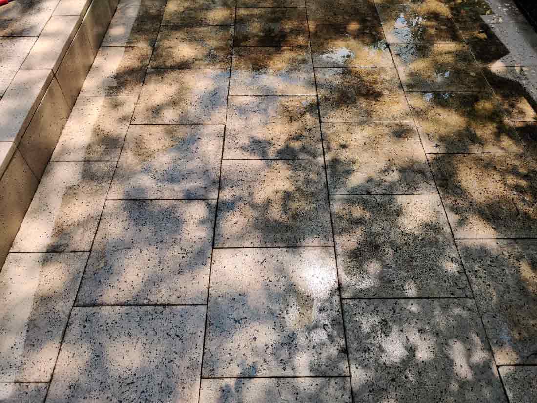stone patio before cleaning